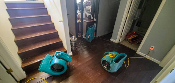 Best Water damage mitigation services  in Level Green, PA