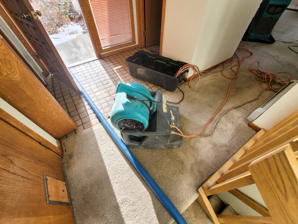 Best Flood restoration services  in Level Green, PA