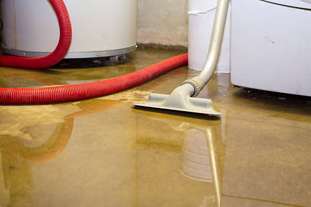 Best Fire Damage Restoration  in Level Green, PA