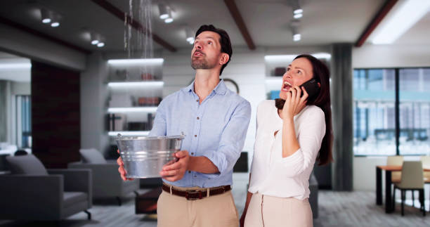 Best Emergency water damage restoration  in Level Green, PA